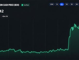 Bitcoin Cash Price Surges 30% as CME Announces BCH Futures Launch