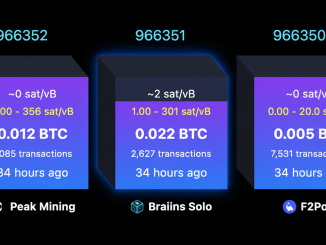 Solo Bitcoin Miner Hits $244K Jackpot After Nearly 40-Day Drought