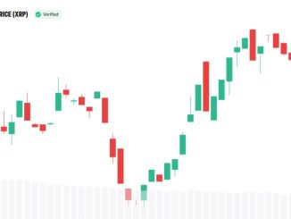 Why XRP Appeals to Institutional Investors, Bitwise CIO Explains